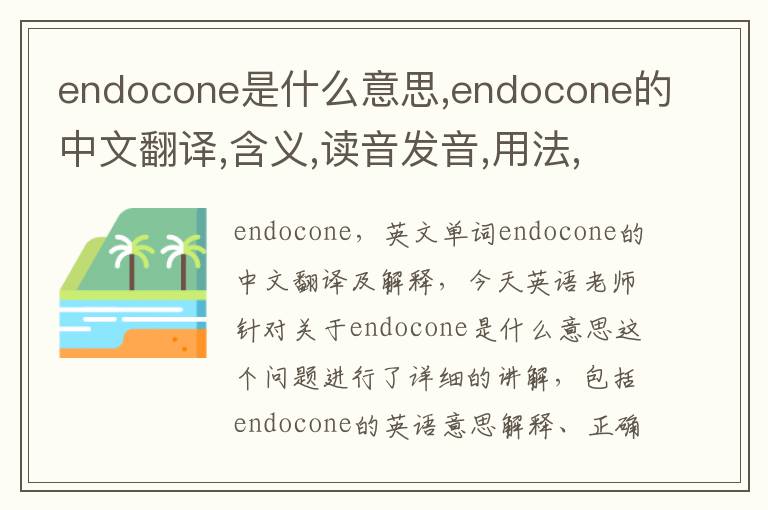 endocone是什么意思,endocone的中文翻译,含义,读音发音,用法,造句,参考例句