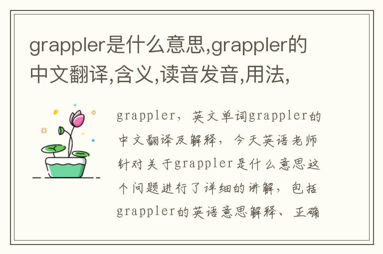 grappler是什么意思,grappler的中文翻译,含义,读音发音,用法,造句,参考例句