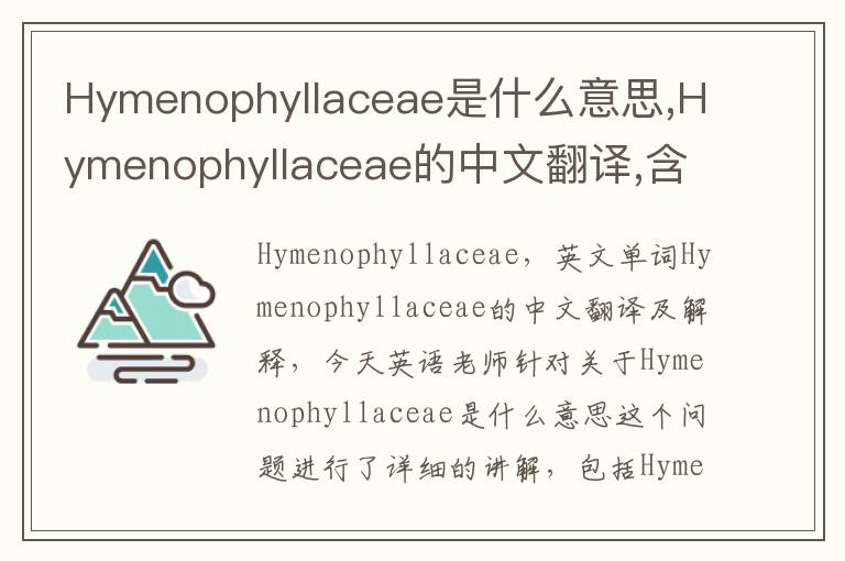 Hymenophyllaceae是什么意思,Hymenophyllaceae的中文翻译,含义,读音发音,用法,造句,参考例句