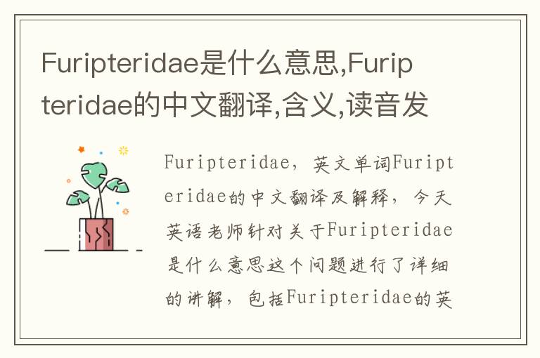 Furipteridae是什么意思,Furipteridae的中文翻译,含义,读音发音,用法,造句,参考例句