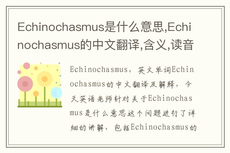 Echinochasmus是什么意思,Echinochasmus的中文翻译,含义,读音发音,用法,造句,参考例句