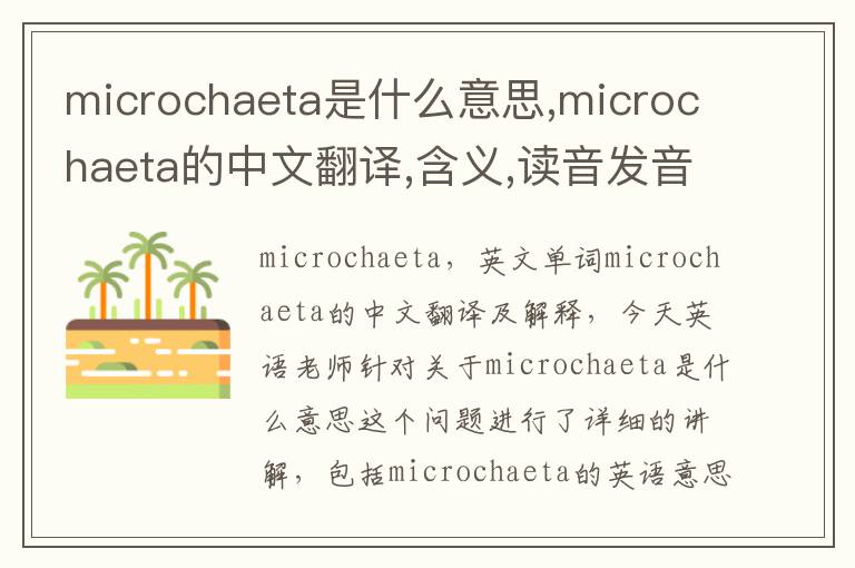 microchaeta是什么意思,microchaeta的中文翻译,含义,读音发音,用法,造句,参考例句