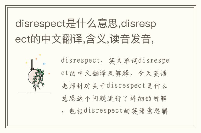 disrespect是什么意思,disrespect的中文翻译,含义,读音发音,用法,造句,参考例句