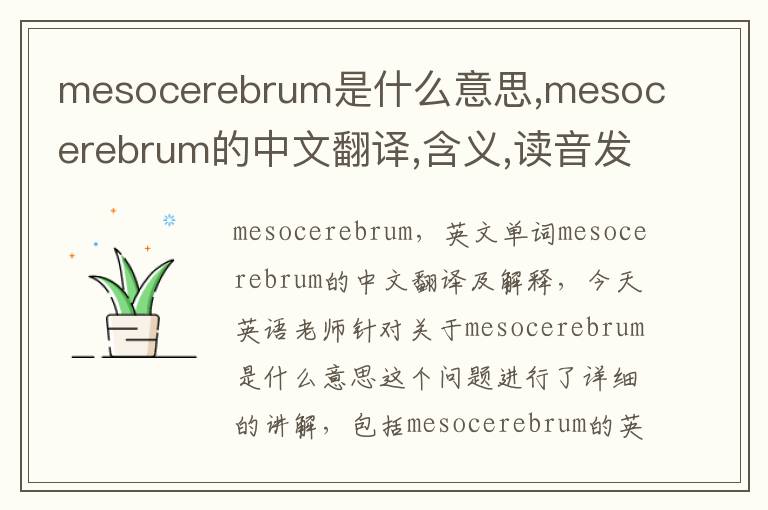 mesocerebrum是什么意思,mesocerebrum的中文翻译,含义,读音发音,用法,造句,参考例句