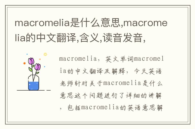 macromelia是什么意思,macromelia的中文翻译,含义,读音发音,用法,造句,参考例句