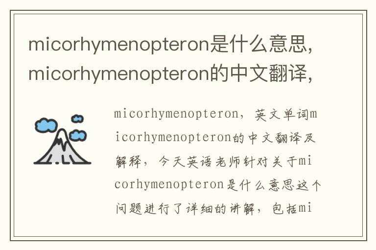 micorhymenopteron是什么意思,micorhymenopteron的中文翻译,含义,读音发音,用法,造句,参考例句