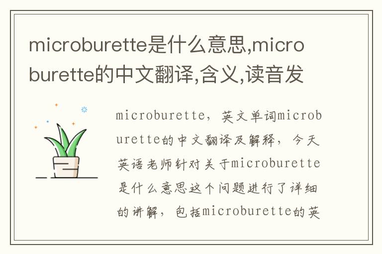 microburette是什么意思,microburette的中文翻译,含义,读音发音,用法,造句,参考例句