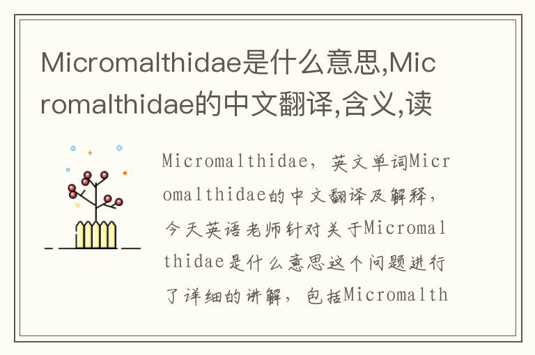 Micromalthidae是什么意思,Micromalthidae的中文翻译,含义,读音发音,用法,造句,参考例句