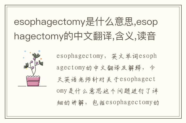 esophagectomy是什么意思,esophagectomy的中文翻译,含义,读音发音,用法,造句,参考例句