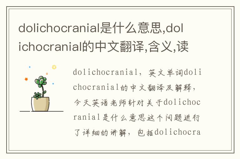 dolichocranial是什么意思,dolichocranial的中文翻译,含义,读音发音,用法,造句,参考例句