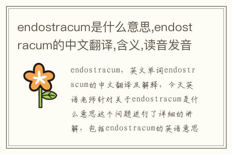 endostracum是什么意思,endostracum的中文翻译,含义,读音发音,用法,造句,参考例句