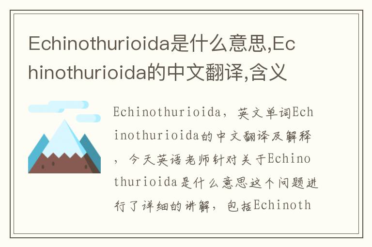 Echinothurioida是什么意思,Echinothurioida的中文翻译,含义,读音发音,用法,造句,参考例句