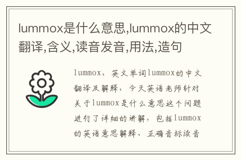 lummox是什么意思,lummox的中文翻译,含义,读音发音,用法,造句,参考例句