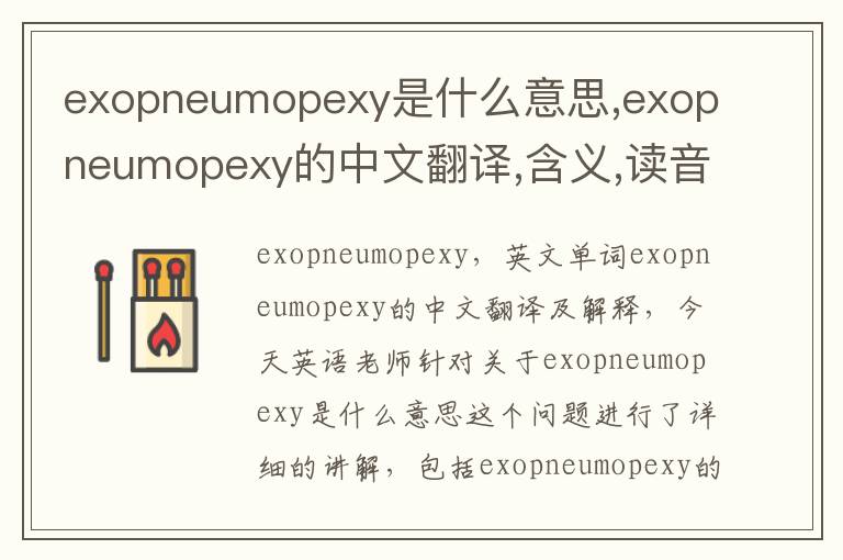 exopneumopexy是什么意思,exopneumopexy的中文翻译,含义,读音发音,用法,造句,参考例句