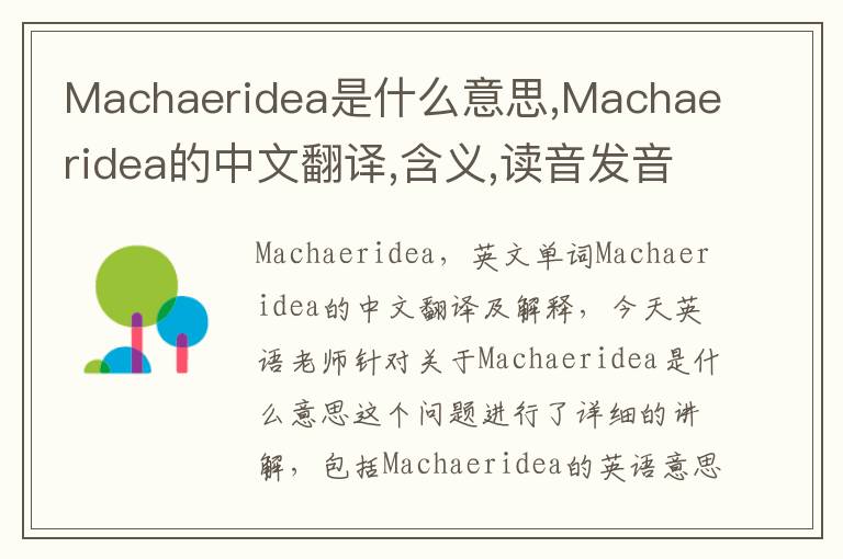 Machaeridea是什么意思,Machaeridea的中文翻译,含义,读音发音,用法,造句,参考例句