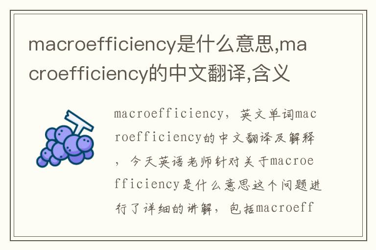 macroefficiency是什么意思,macroefficiency的中文翻译,含义,读音发音,用法,造句,参考例句