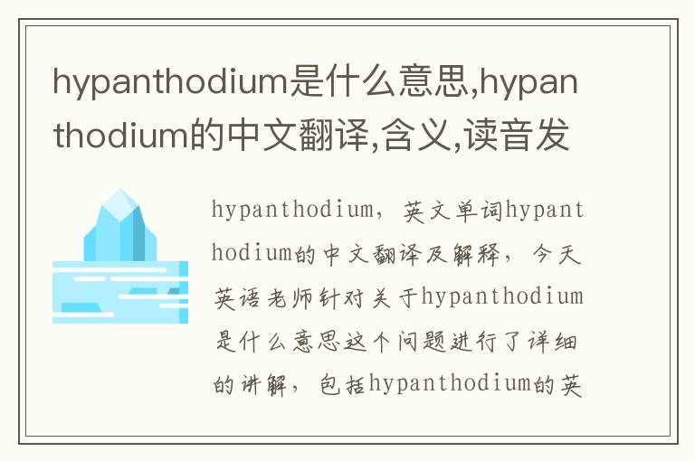 hypanthodium是什么意思,hypanthodium的中文翻译,含义,读音发音,用法,造句,参考例句