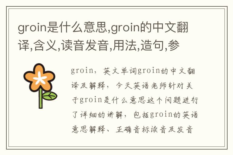 groin是什么意思,groin的中文翻译,含义,读音发音,用法,造句,参考例句