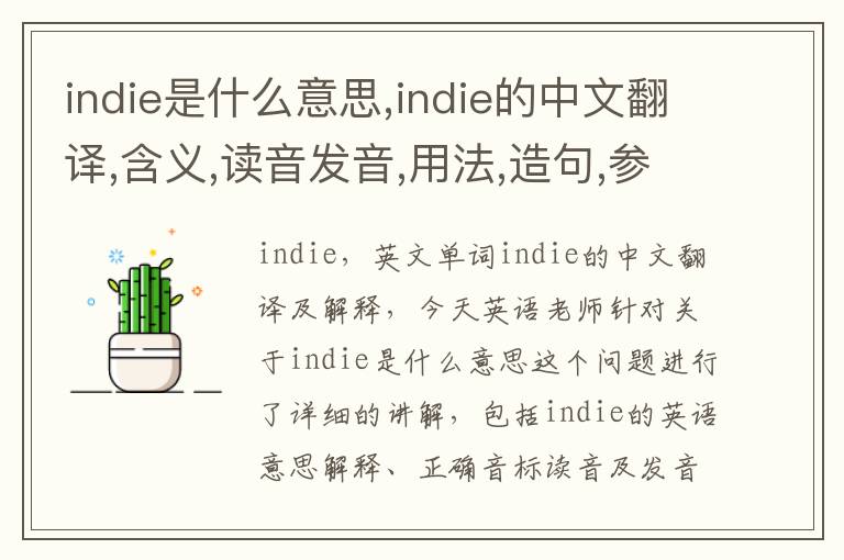 indie是什么意思,indie的中文翻译,含义,读音发音,用法,造句,参考例句