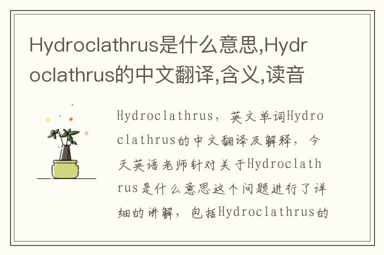 Hydroclathrus是什么意思,Hydroclathrus的中文翻译,含义,读音发音,用法,造句,参考例句