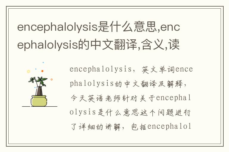 encephalolysis是什么意思,encephalolysis的中文翻译,含义,读音发音,用法,造句,参考例句