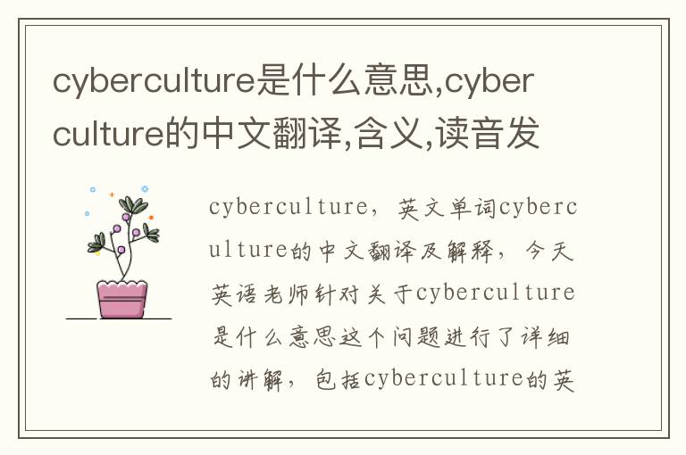 cyberculture是什么意思,cyberculture的中文翻译,含义,读音发音,用法,造句,参考例句