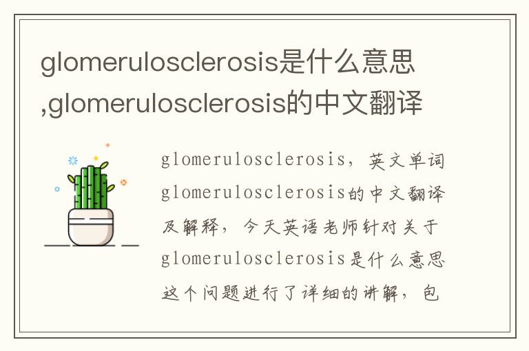 glomerulosclerosis是什么意思,glomerulosclerosis的中文翻译,含义,读音发音,用法,造句,参考例句