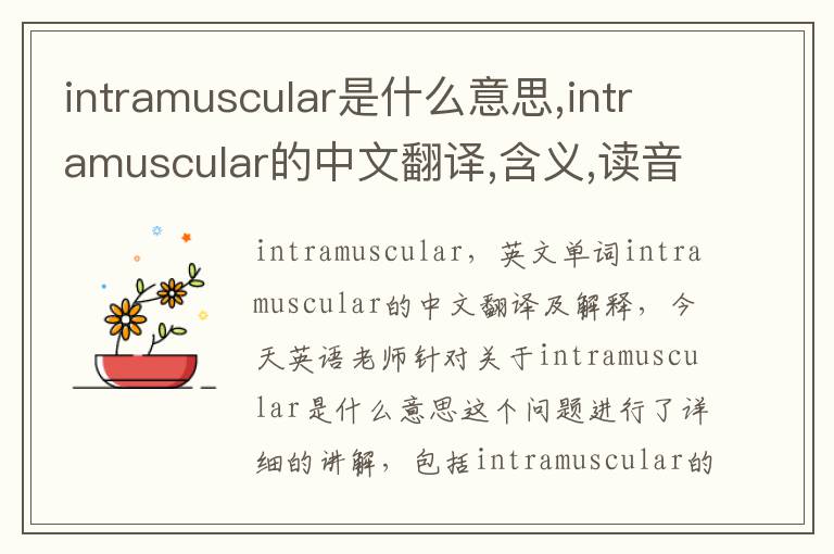 intramuscular是什么意思,intramuscular的中文翻译,含义,读音发音,用法,造句,参考例句