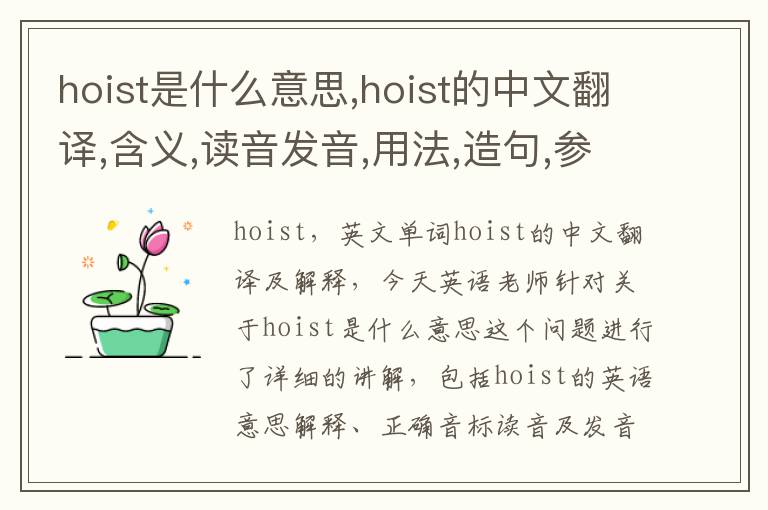 hoist是什么意思,hoist的中文翻译,含义,读音发音,用法,造句,参考例句