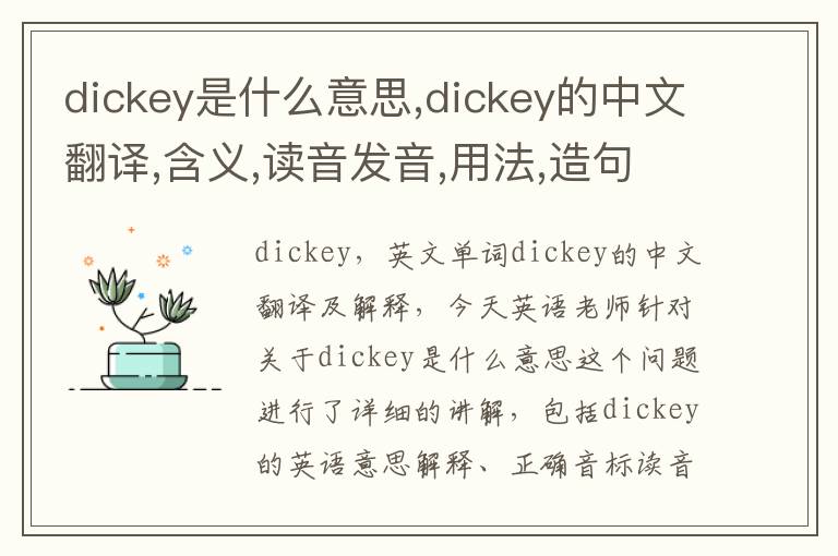 dickey是什么意思,dickey的中文翻译,含义,读音发音,用法,造句,参考例句