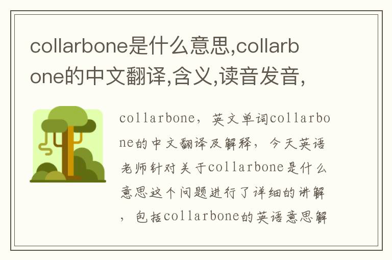 collarbone是什么意思,collarbone的中文翻译,含义,读音发音,用法,造句,参考例句