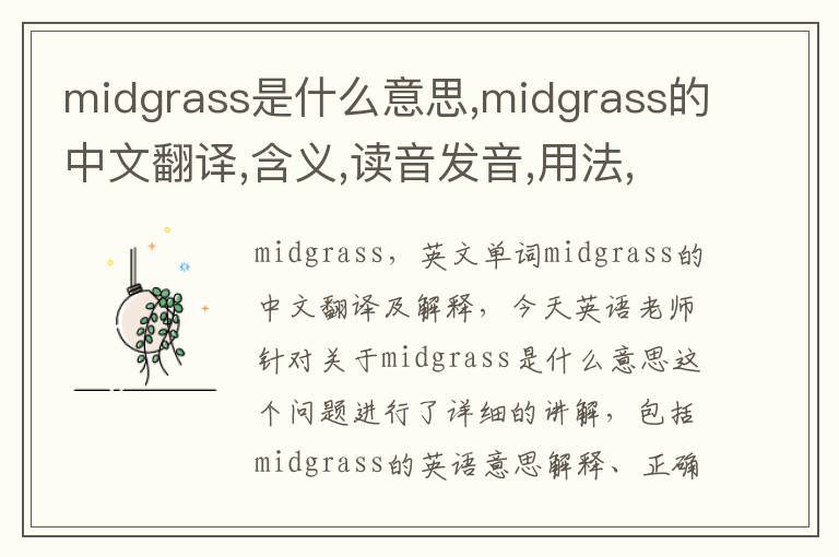 midgrass是什么意思,midgrass的中文翻译,含义,读音发音,用法,造句,参考例句