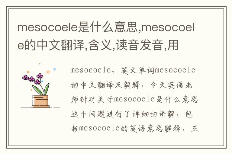 mesocoele是什么意思,mesocoele的中文翻译,含义,读音发音,用法,造句,参考例句