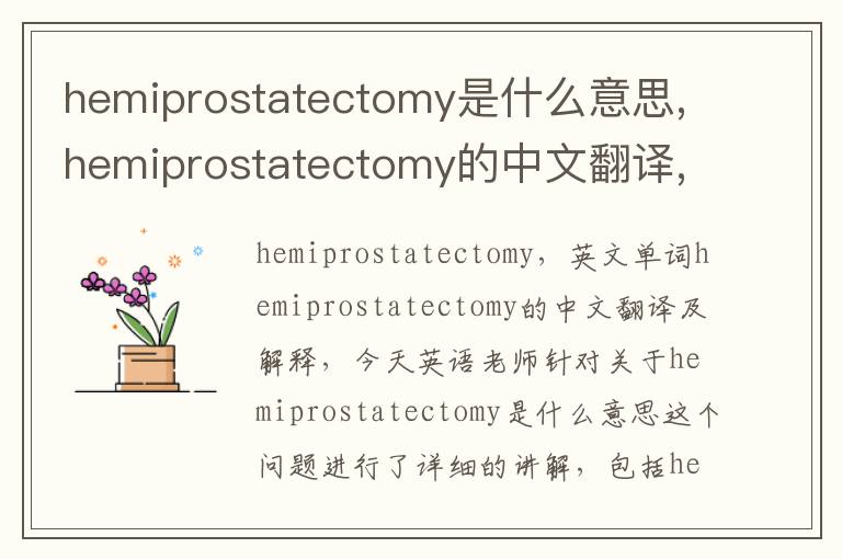 hemiprostatectomy是什么意思,hemiprostatectomy的中文翻译,含义,读音发音,用法,造句,参考例句