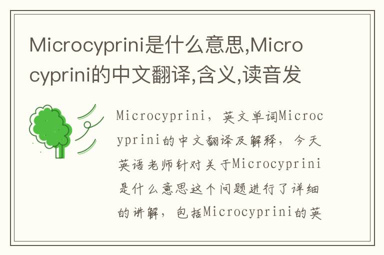 Microcyprini是什么意思,Microcyprini的中文翻译,含义,读音发音,用法,造句,参考例句