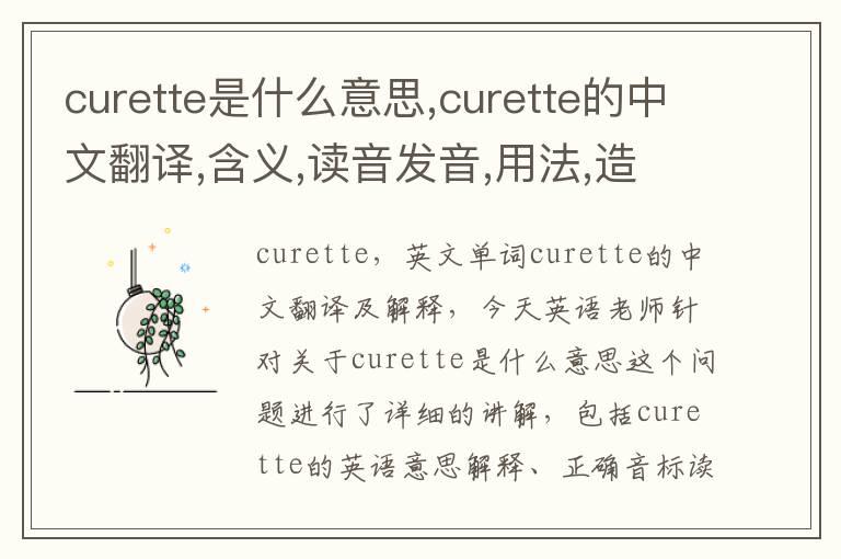 curette是什么意思,curette的中文翻译,含义,读音发音,用法,造句,参考例句