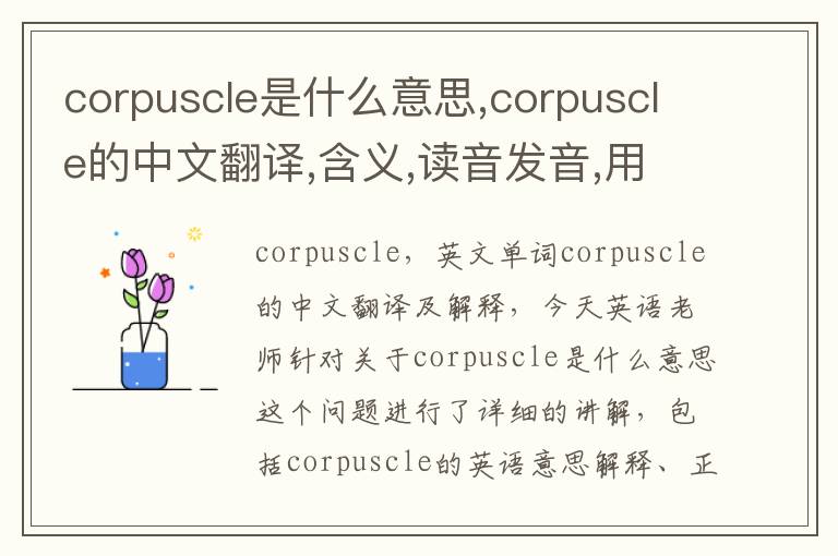 corpuscle是什么意思,corpuscle的中文翻译,含义,读音发音,用法,造句,参考例句