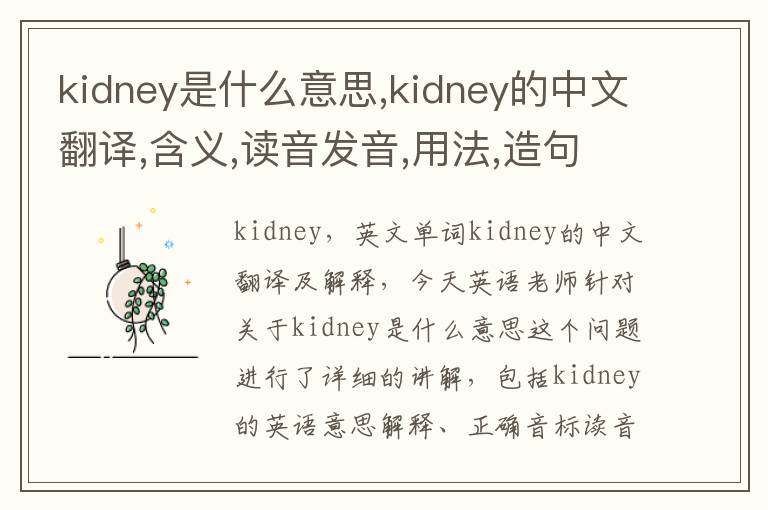 kidney是什么意思,kidney的中文翻译,含义,读音发音,用法,造句,参考例句