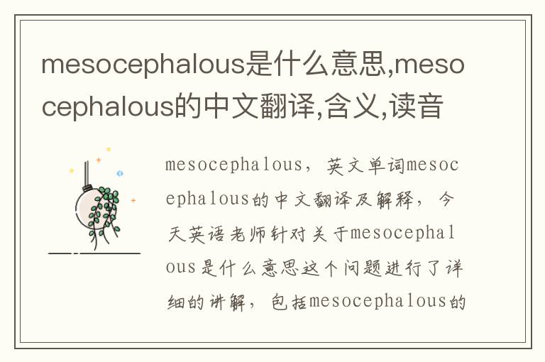 mesocephalous是什么意思,mesocephalous的中文翻译,含义,读音发音,用法,造句,参考例句