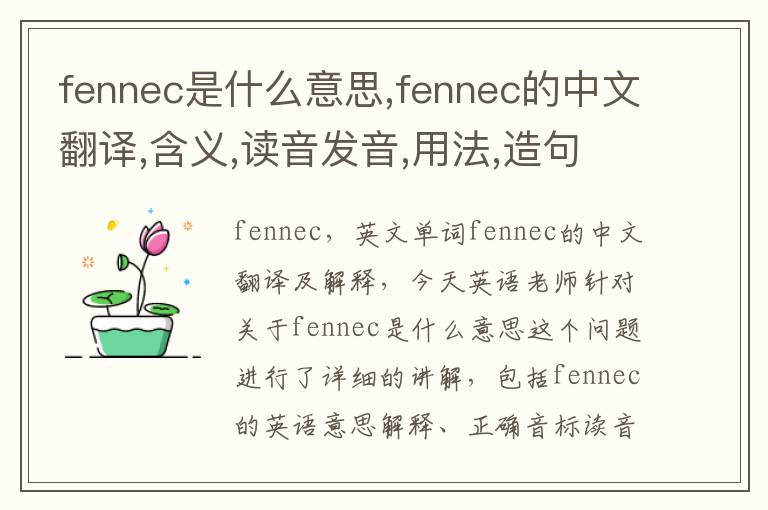 fennec是什么意思,fennec的中文翻译,含义,读音发音,用法,造句,参考例句