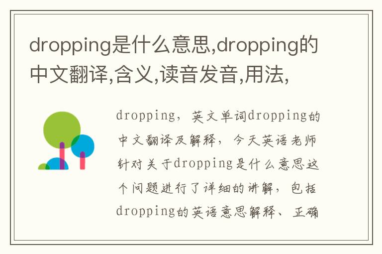 dropping是什么意思,dropping的中文翻译,含义,读音发音,用法,造句,参考例句