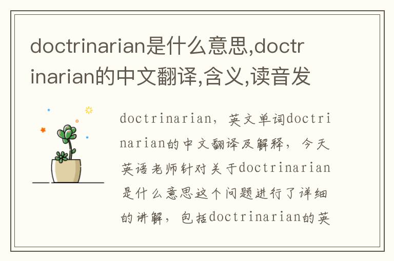 doctrinarian是什么意思,doctrinarian的中文翻译,含义,读音发音,用法,造句,参考例句