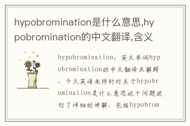 hypobromination是什么意思,hypobromination的中文翻译,含义,读音发音,用法,造句,参考例句