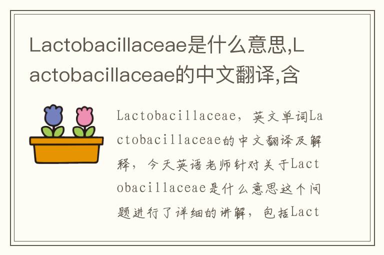 Lactobacillaceae是什么意思,Lactobacillaceae的中文翻译,含义,读音发音,用法,造句,参考例句