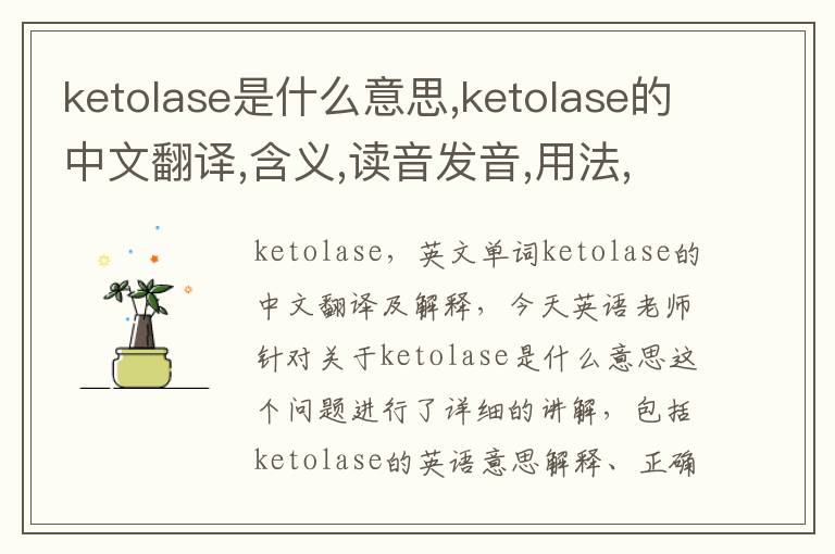 ketolase是什么意思,ketolase的中文翻译,含义,读音发音,用法,造句,参考例句