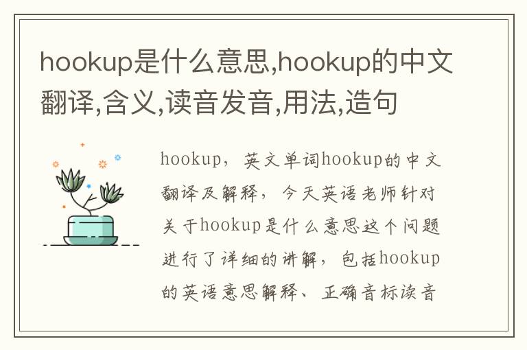 hookup是什么意思,hookup的中文翻译,含义,读音发音,用法,造句,参考例句