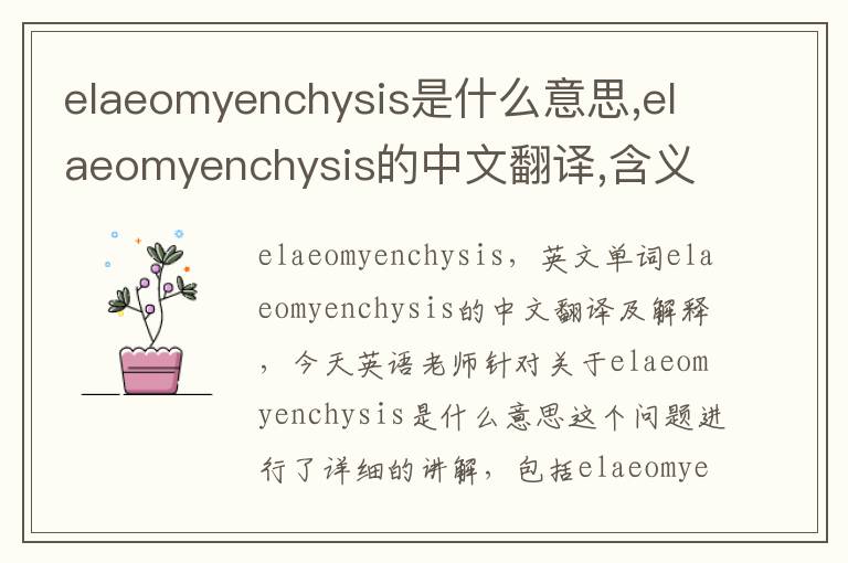 elaeomyenchysis是什么意思,elaeomyenchysis的中文翻译,含义,读音发音,用法,造句,参考例句