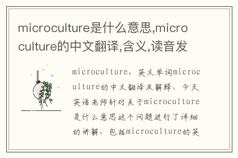 microculture是什么意思,microculture的中文翻译,含义,读音发音,用法,造句,参考例句