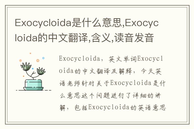 Exocycloida是什么意思,Exocycloida的中文翻译,含义,读音发音,用法,造句,参考例句