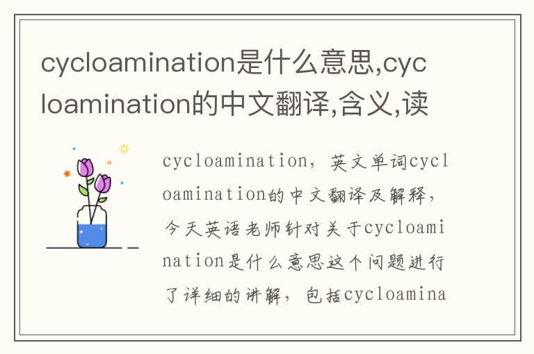 cycloamination是什么意思,cycloamination的中文翻译,含义,读音发音,用法,造句,参考例句